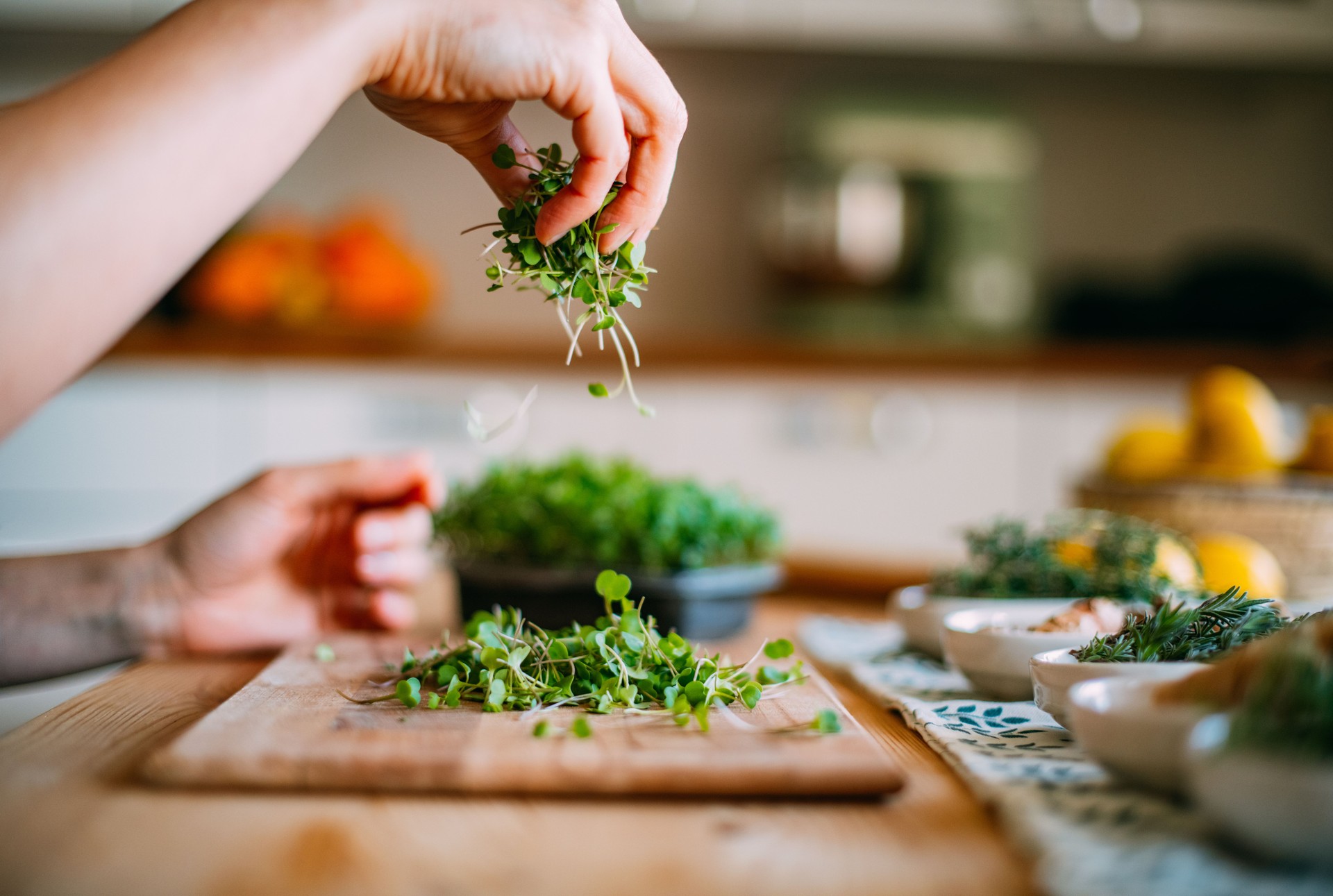 Woman Harvests the Micro Greens